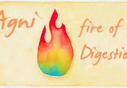 Agni: The Fire of Digestion
