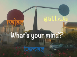 What’s Your Mind?