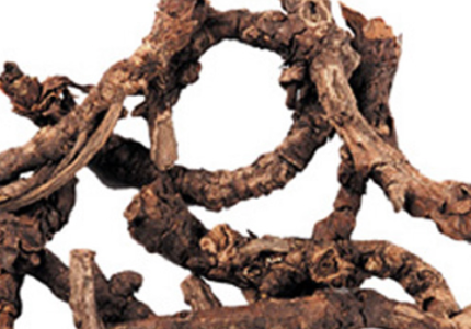 Kutki – A Popular Liver Tonic