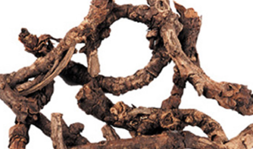 Kutki – A Popular Liver Tonic