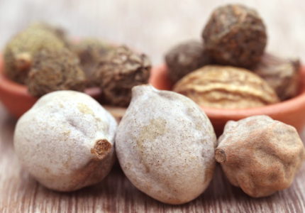 Bibhitaki – The Fearless Ayurveda Herb