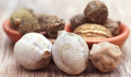 Bibhitaki – The Fearless Ayurveda Herb