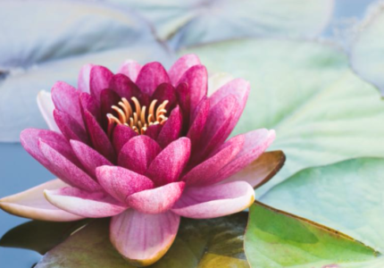 The Benefits Of Meditation + Overcoming 5 Most Common Struggles of Meditation