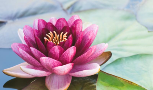 The Benefits Of Meditation + Overcoming 5 Most Common Struggles of Meditation
