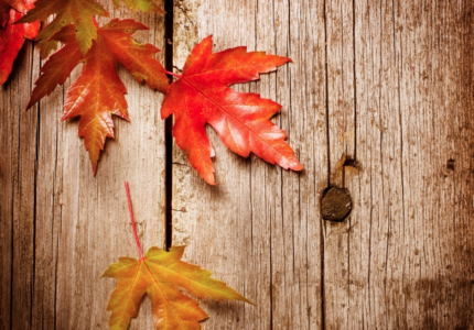 Seasonal Guide For Autumn – An Ayurvedic Perspective