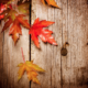 Seasonal Guide For Autumn – An Ayurvedic Perspective