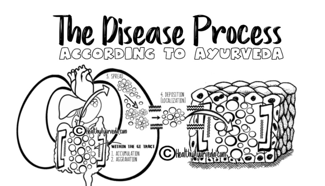 Samprapti ~ The Disease Process According To Ayurveda