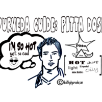 The Ayurveda Guide: Pitta Dosha