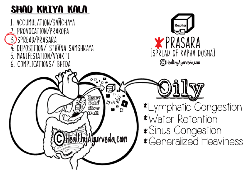 The Ayurveda Guide Kapha Dosha Healthy Ayurveda