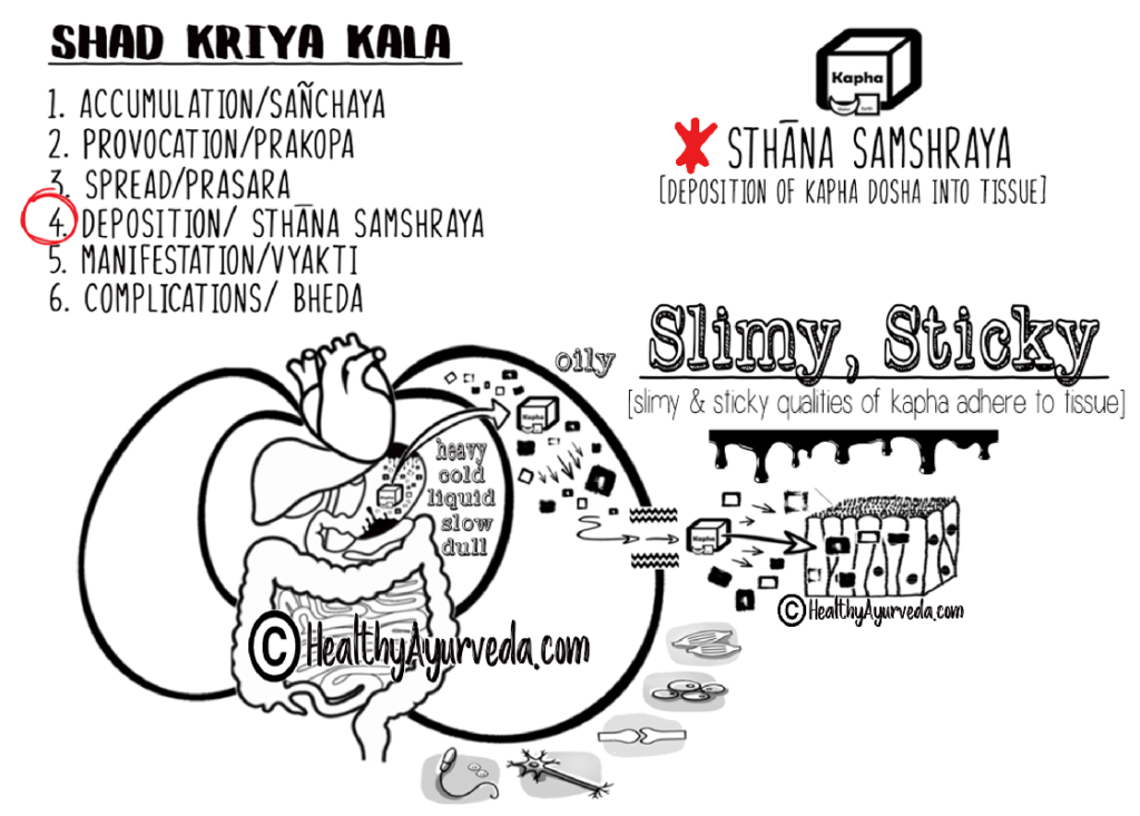 The Ayurveda Guide Kapha Dosha Healthy Ayurveda