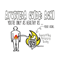 The Ayurveda Guide: Agni … You Are Only As Healthy As Your Agni