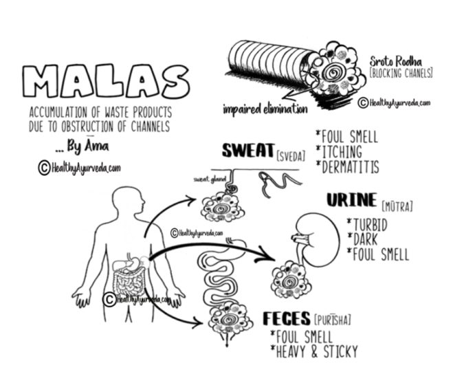 Ama The Root Cause Of Disease According To Ayurveda Healthy Ayurveda