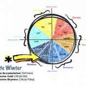 Ayurveda Guide For Late Winter Season